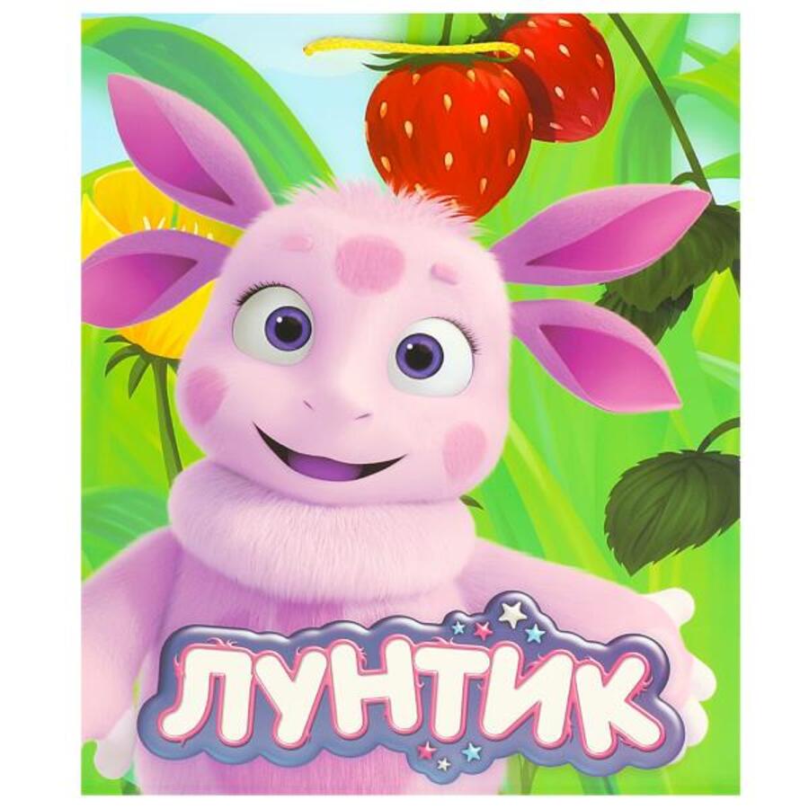 

PL-109911-LHB Пакет подарочный 26х32см L* Лунтик (уни)