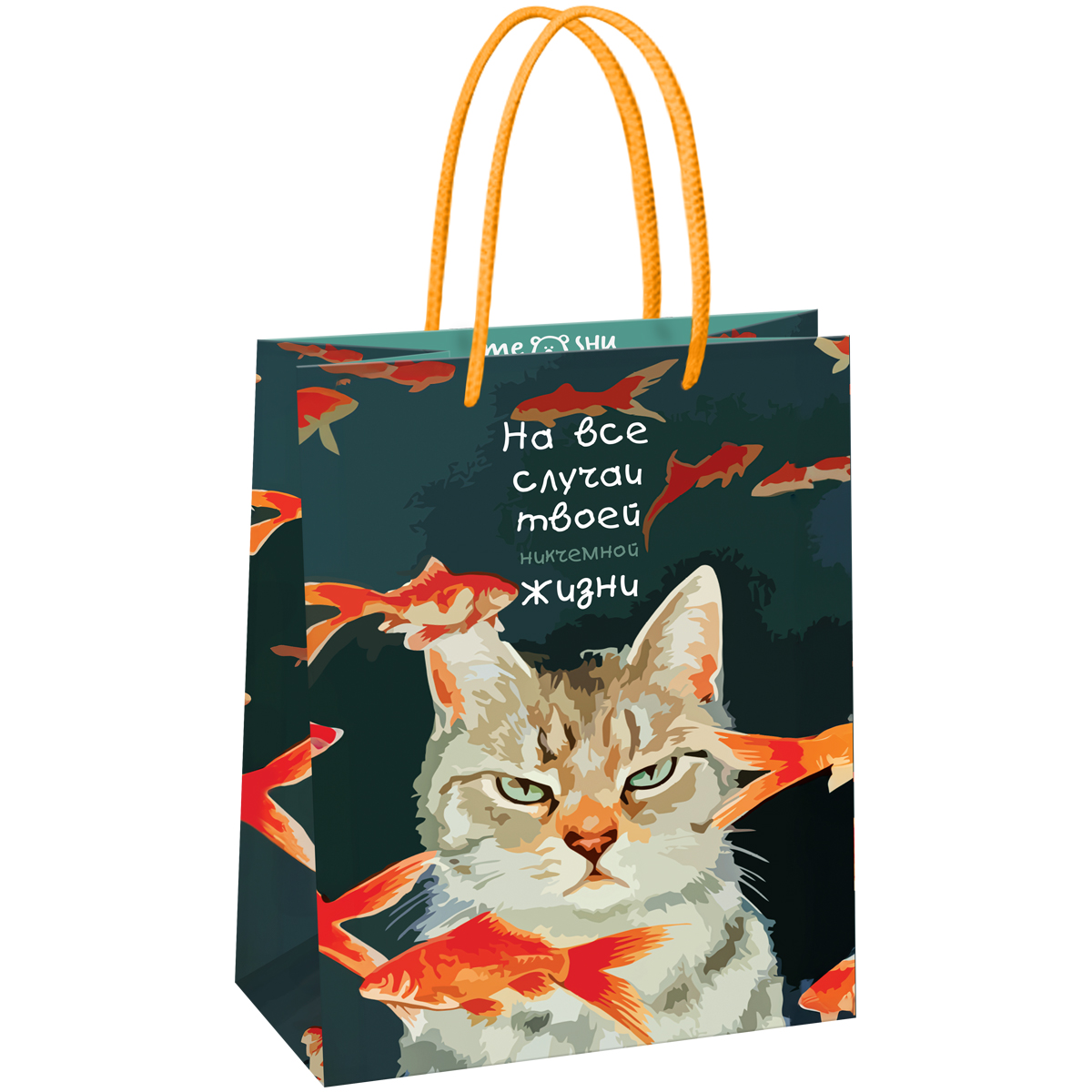 

MS_61568 Пакет подарочный 18х23см M* Moody cat (уни) Глянец