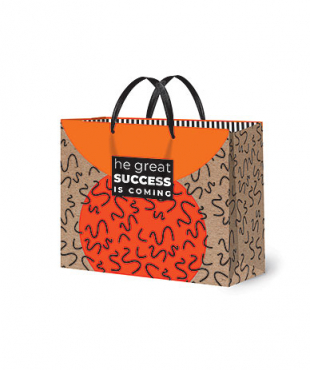

С11627 Пакет подарочный 20х24см M* Success (уни) Крафт