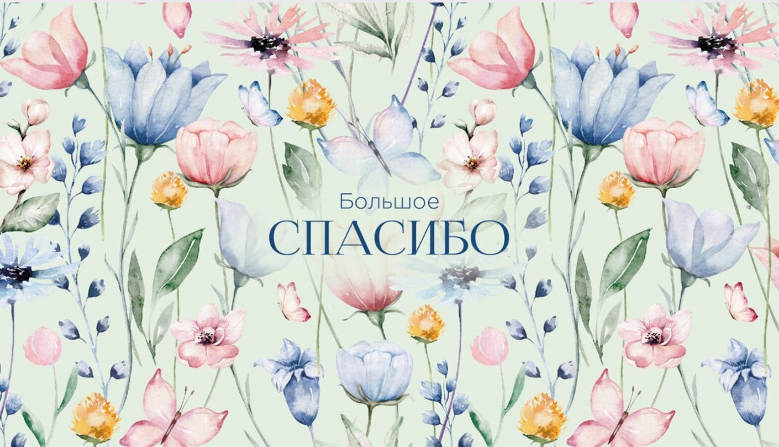 

0200.05 Конверт для денег Евро Большое спасибо (жен)