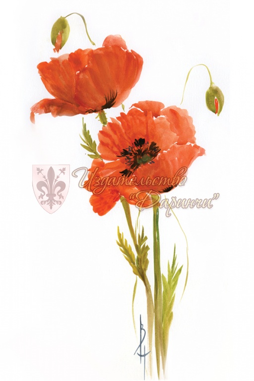 

№49 Открытка почтовая А6 Акварельная Маки (жен) Без текста