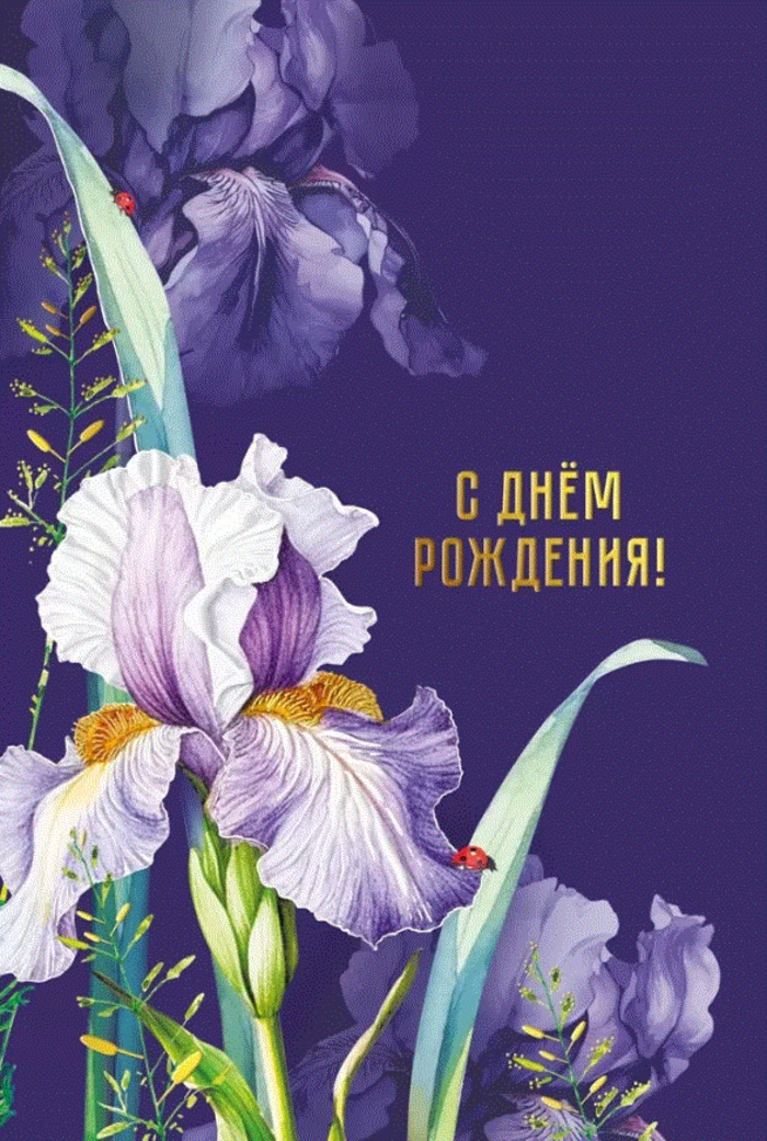 

019.724 Открытка А5 С днем рождения! (жен) С текстом Фольга