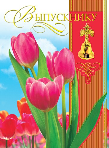 

ОФ-1577 Открытка А4 Выпускнику (жен) Фольга