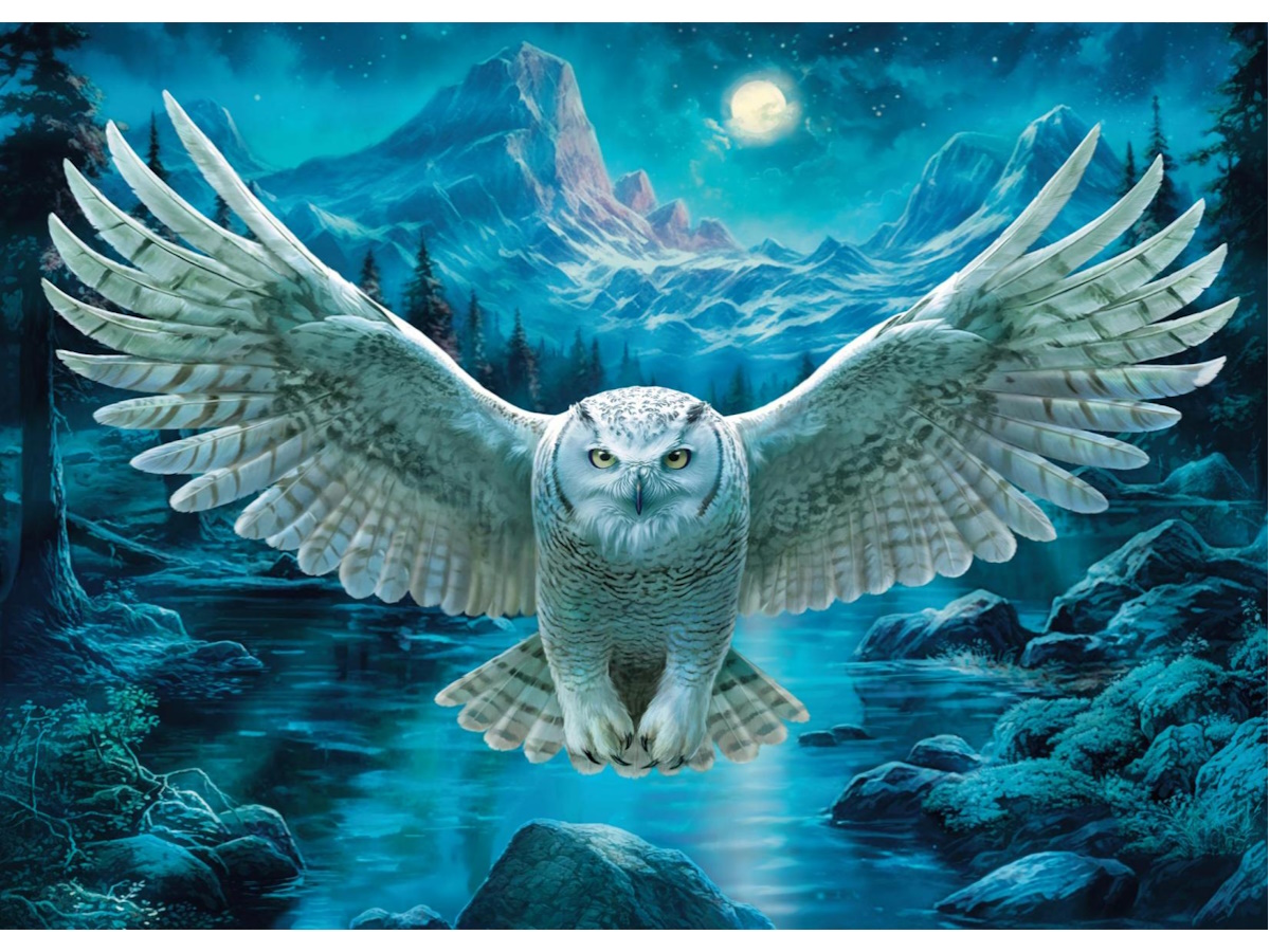 

Мозаика алмазная 30х40см Полярная сова