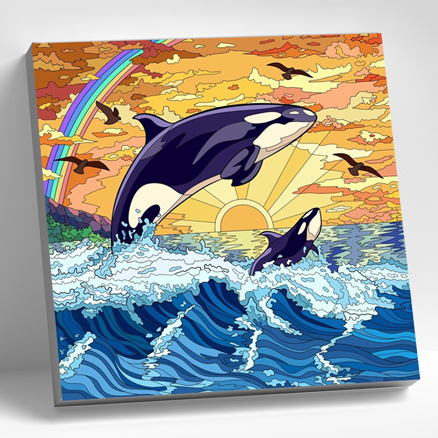 Картина по номерам 30х30см Косатки 736₽