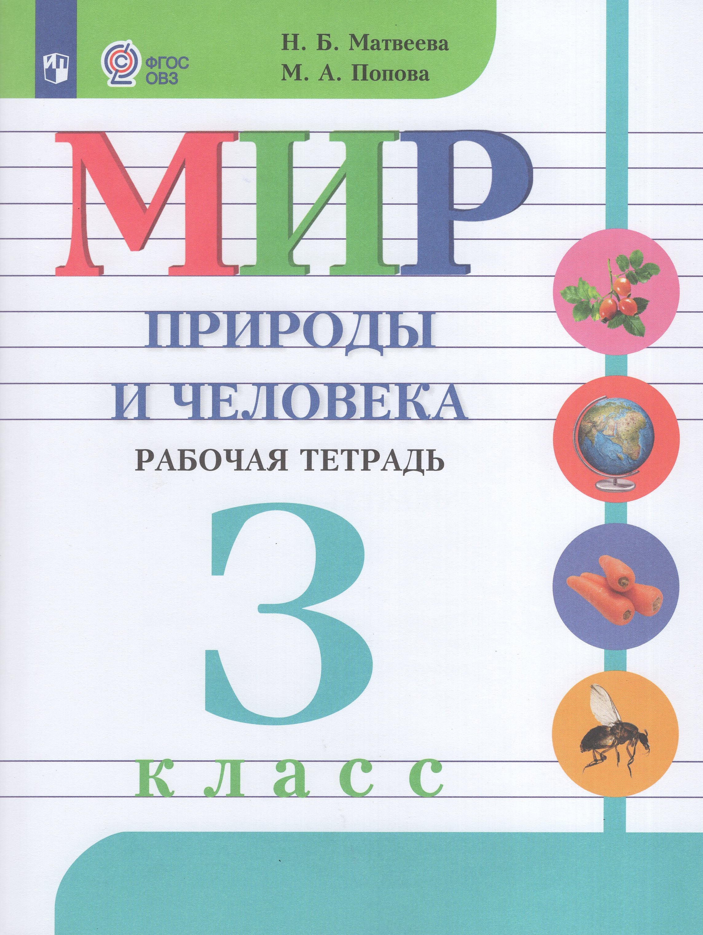 

Мир природы и человека. 3 класс. Рабочая тетрадь. Учебное пособие для общеобразовательных организаций, реализующих адаптированные основные общеобразовательные программы