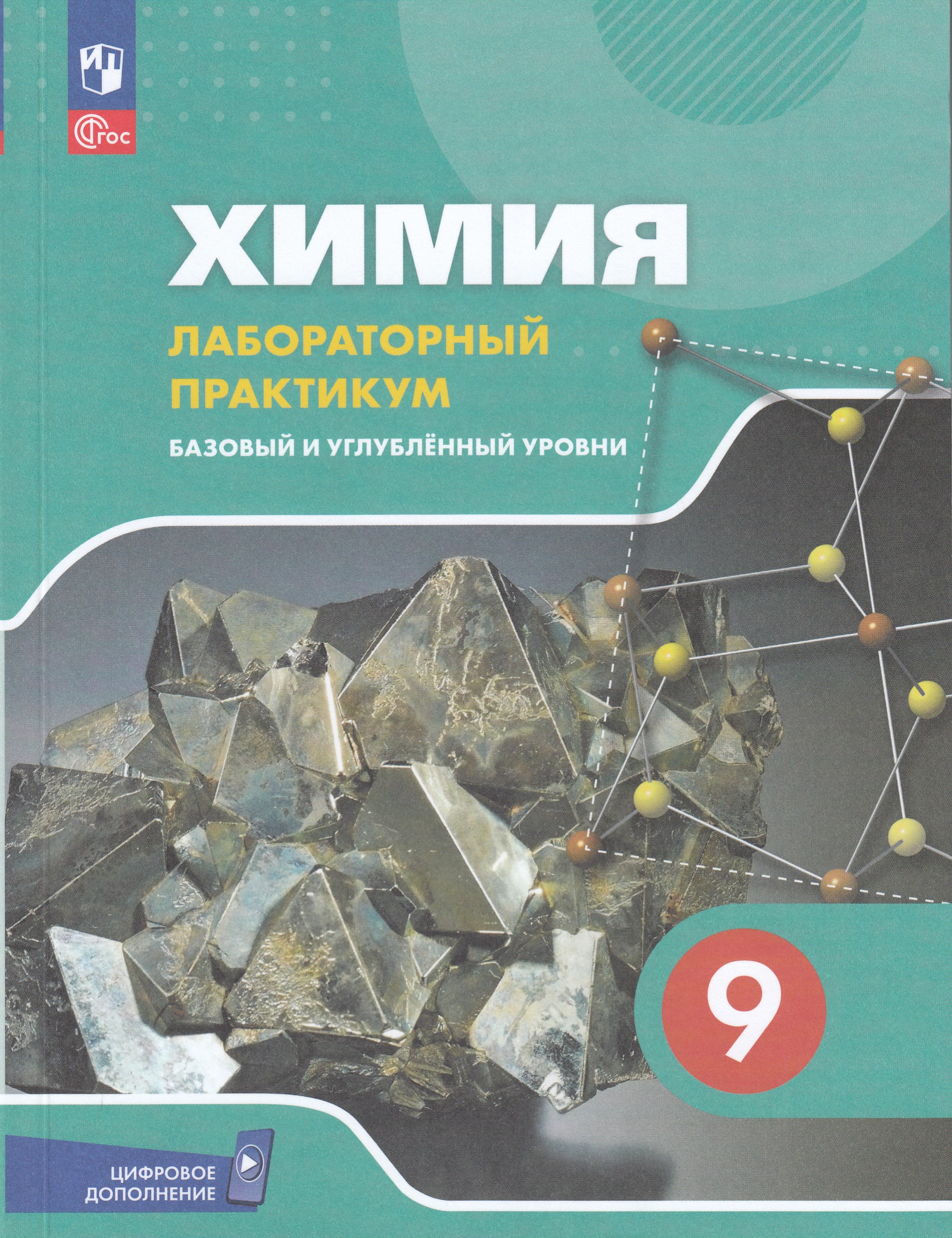 

Химия. 9 класс. Базовый и углублённый уровни. Лабораторный практикум (с цифровым дополнением)