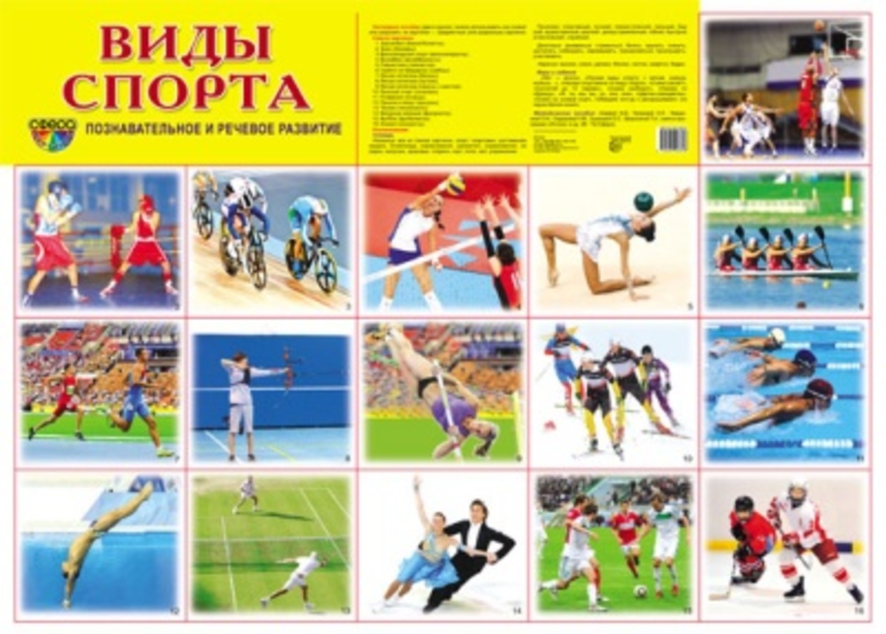 

Плакат демонстрационный А2 Виды спорта
