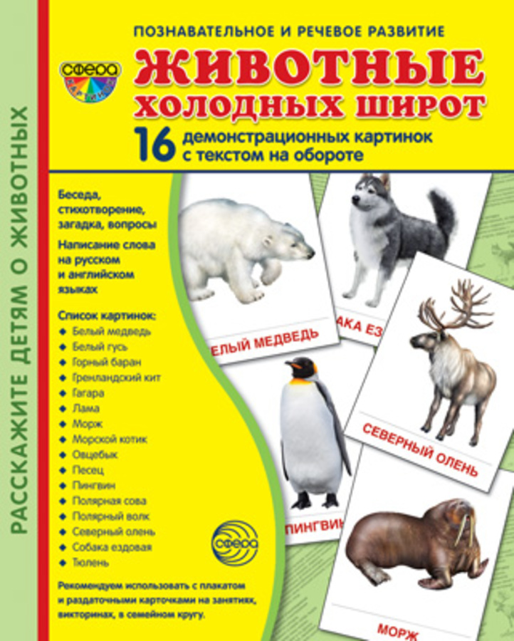 

Карточки демонстрационные Животные холодных широт 16шт 173х220мм