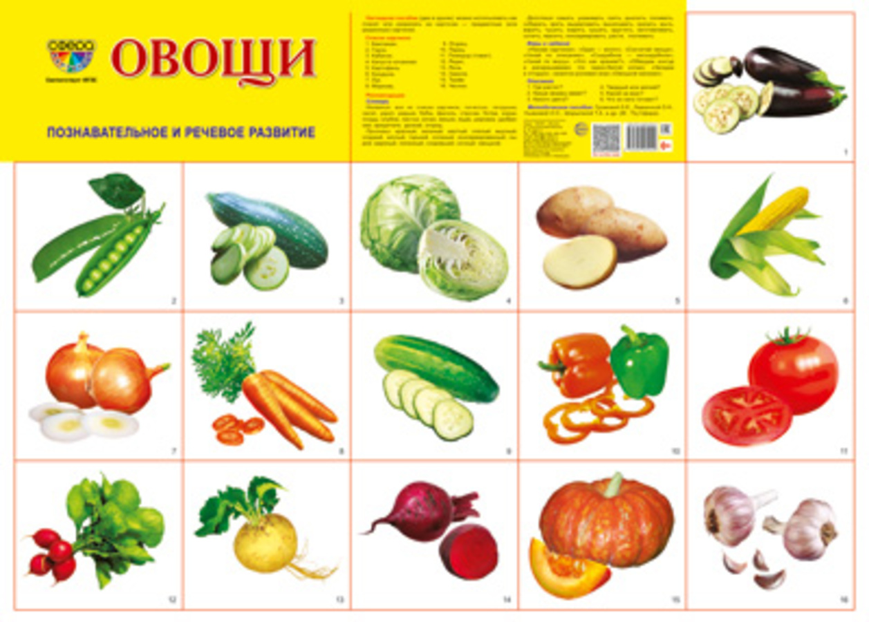 

Плакат демонстрационный А2 Овощи