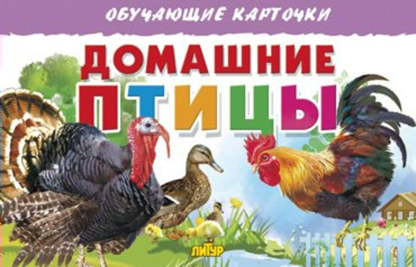 

Карточки обучающие Домашние птицы 130х190мм