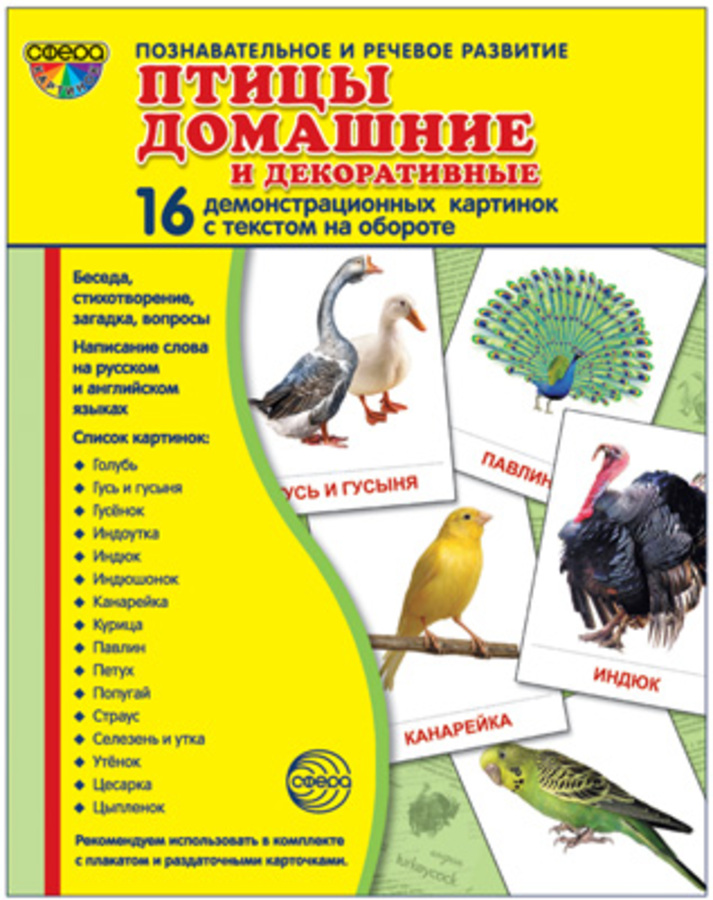 

Карточки демонстрационные Птицы домашние и декоративные 16шт 173х220мм
