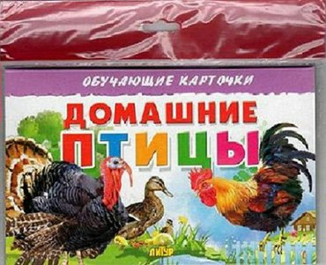 

Карточки обучающие Домашние птицы 120х190мм