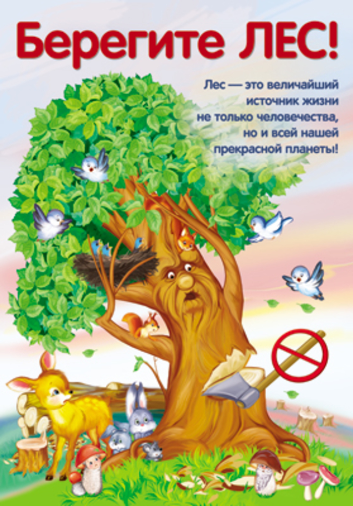 

Плакат А3 Берегите лес!