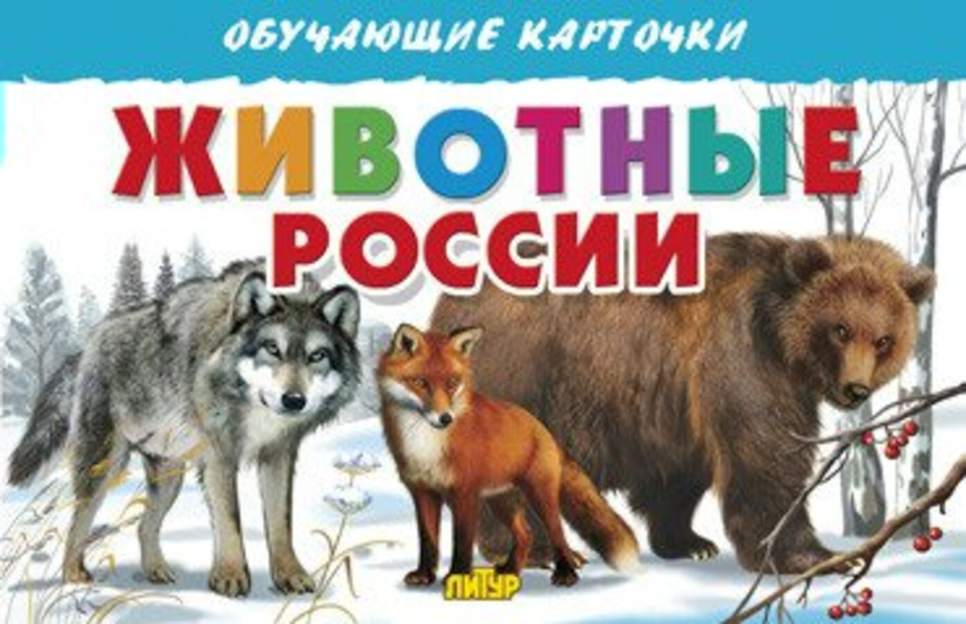 

Карточки обучающие Животные России 120х190мм