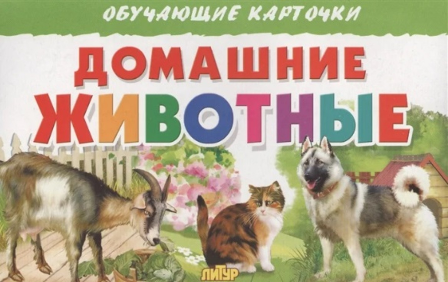 

Карточки обучающие Домашние животные 120х190мм