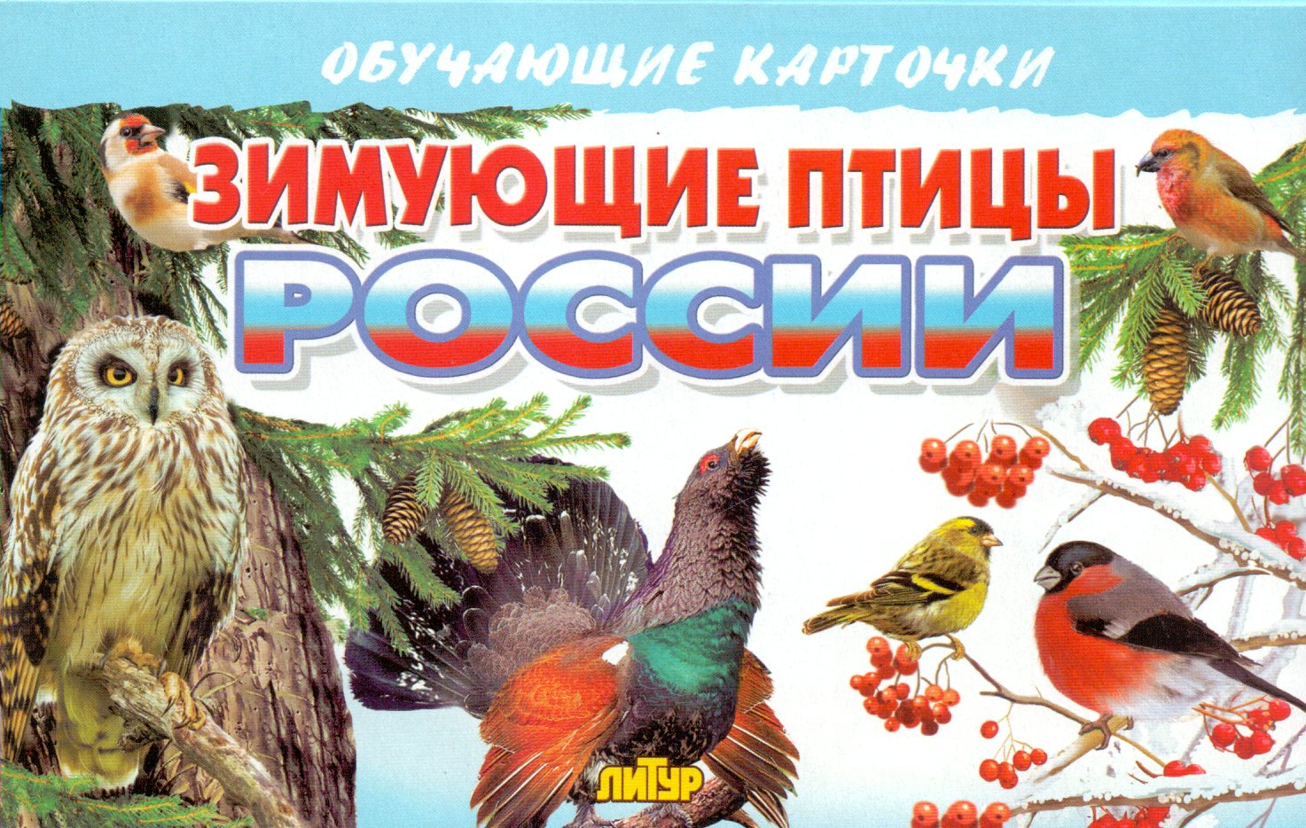 

Карточки Зимующие птицы России***