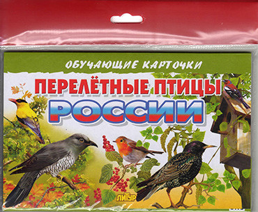 

Карточки обучающие Перелетные птицы России 120х190мм