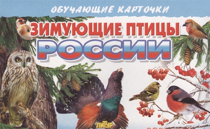 

Карточки обучающие Зимующие птицы России 120х190мм