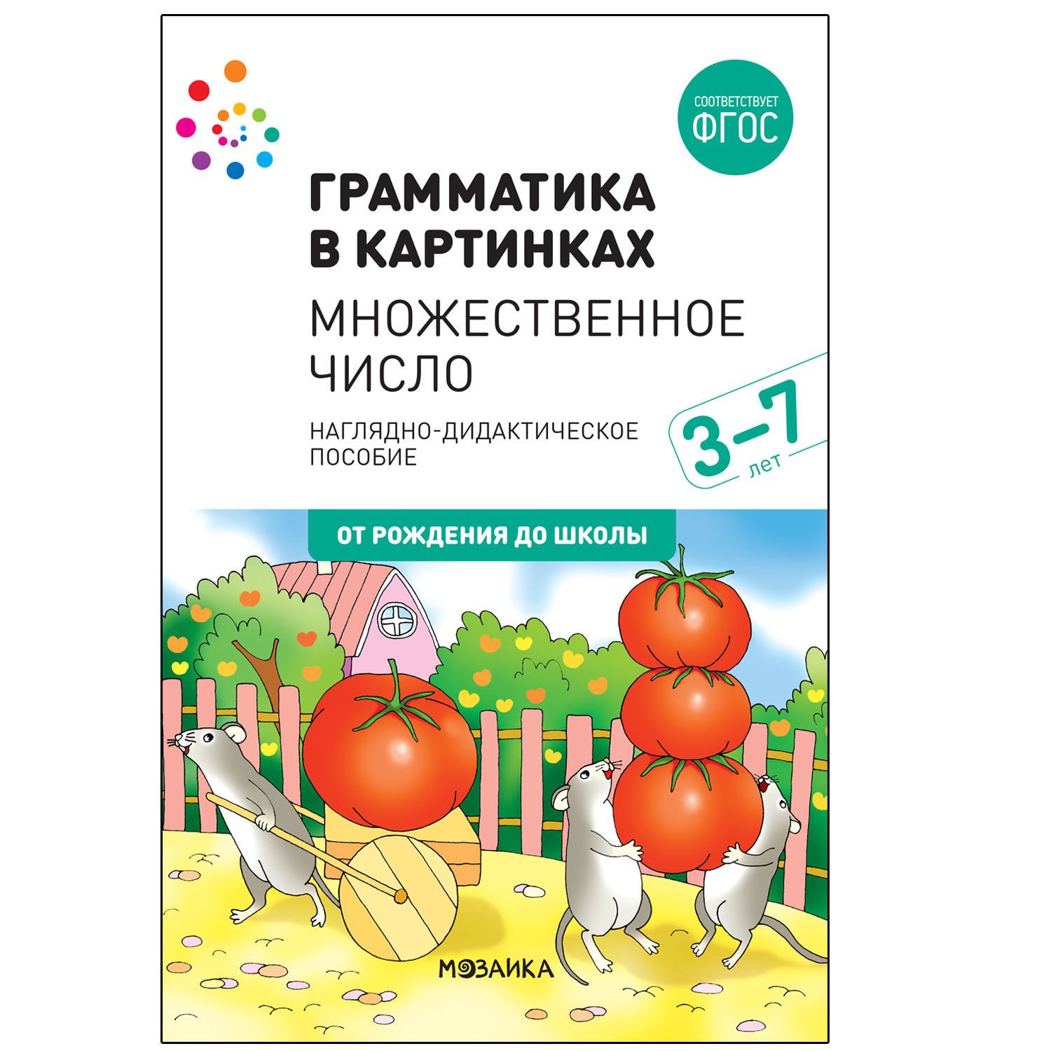 

Набор 210х300мм Грамматика в картинках Множественное число МС12117