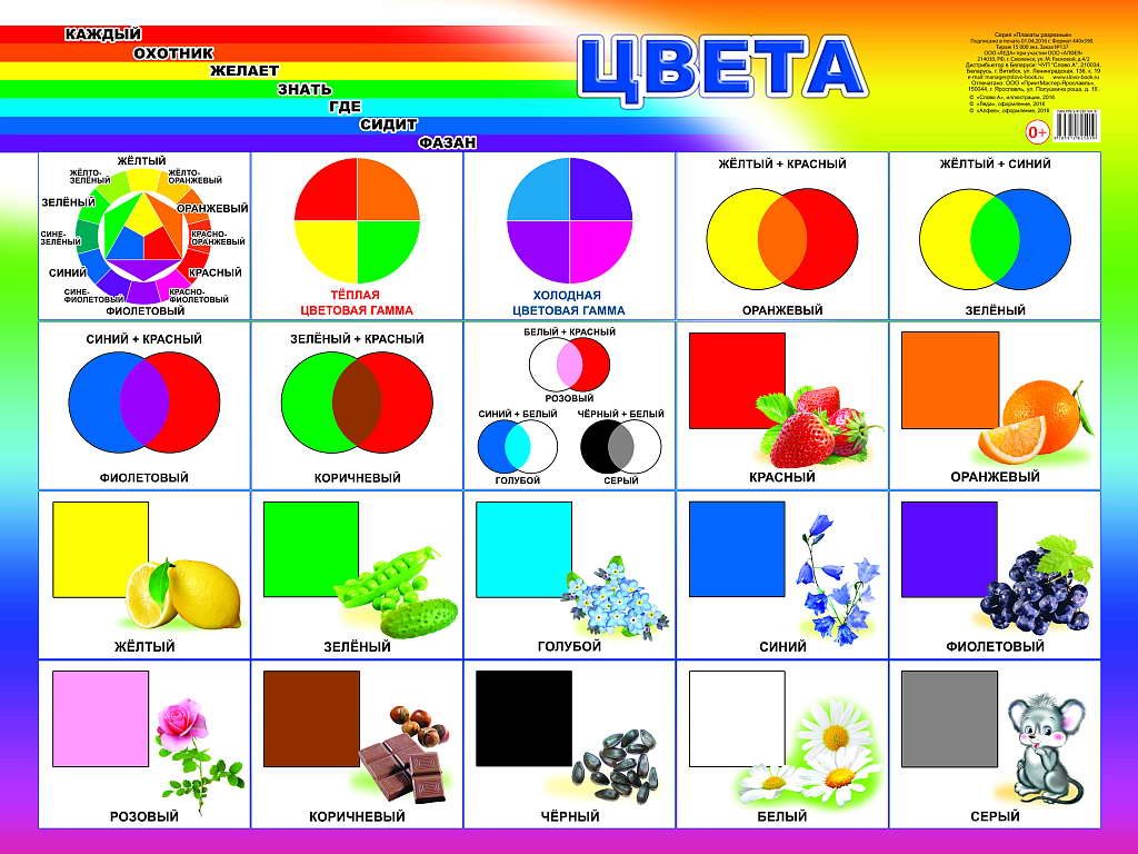 

Плакат 440х590мм Цвета