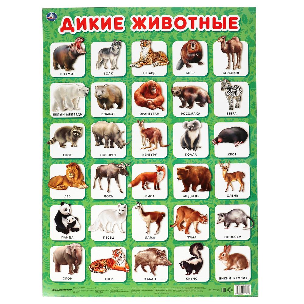 Плакат А2 Дикие животные - | Купить с доставкой в книжном интернет ...