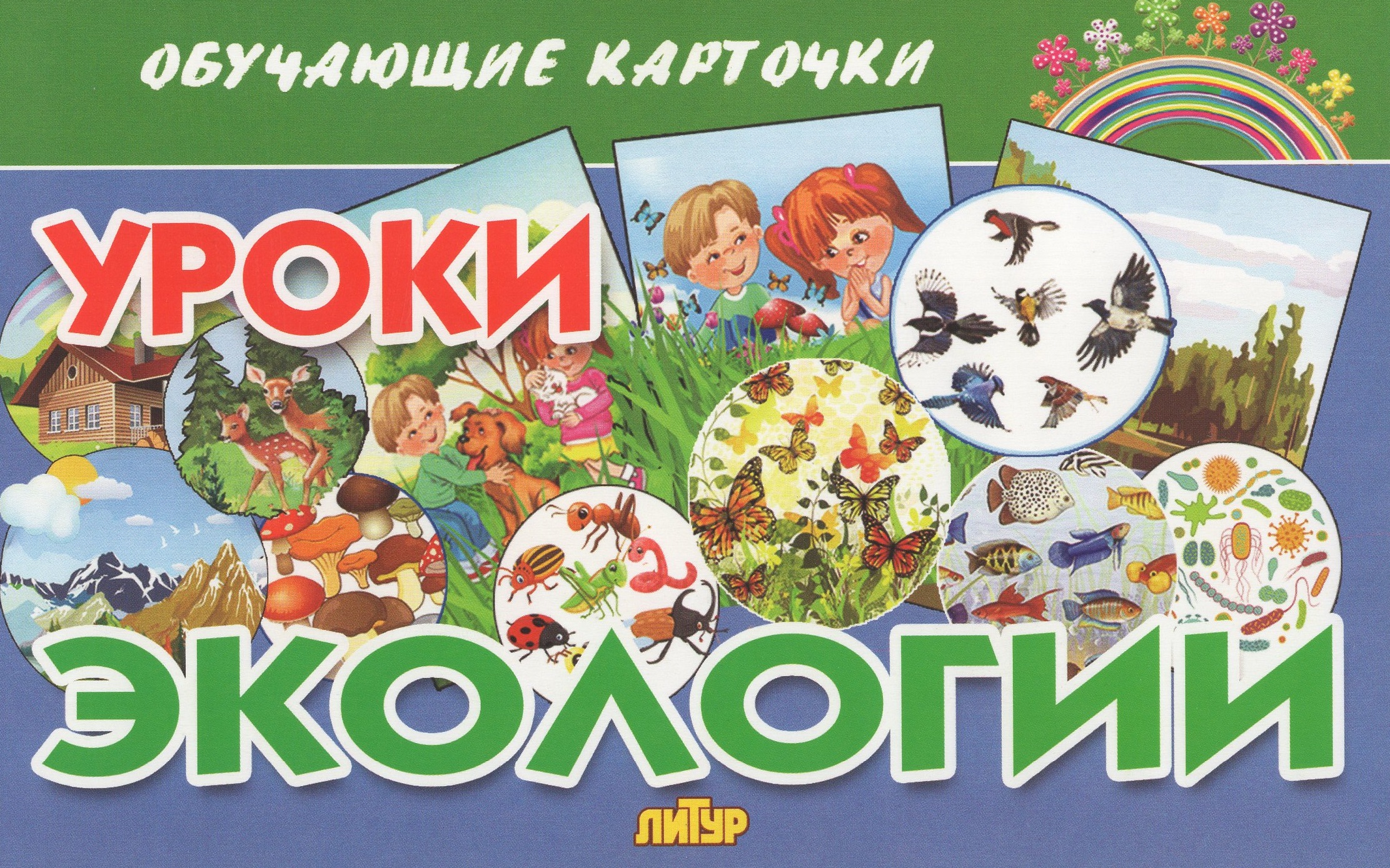 

Карточки обучающие Уроки экологии 120х190мм