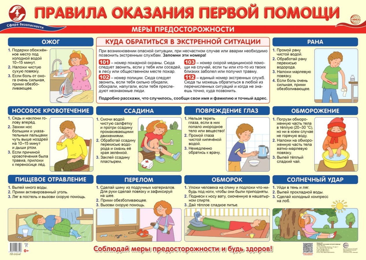 

Плакат демонстрационный А2 Правила оказания первой помощи