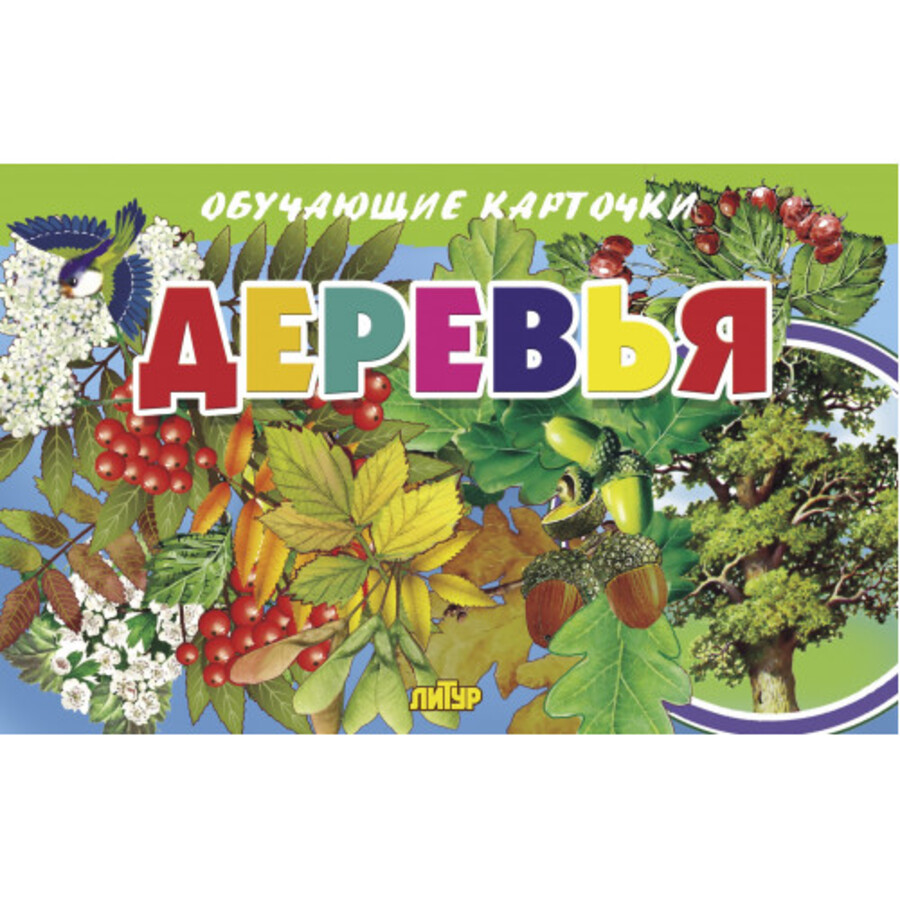 

Карточки обучающие Деревья 120х190мм