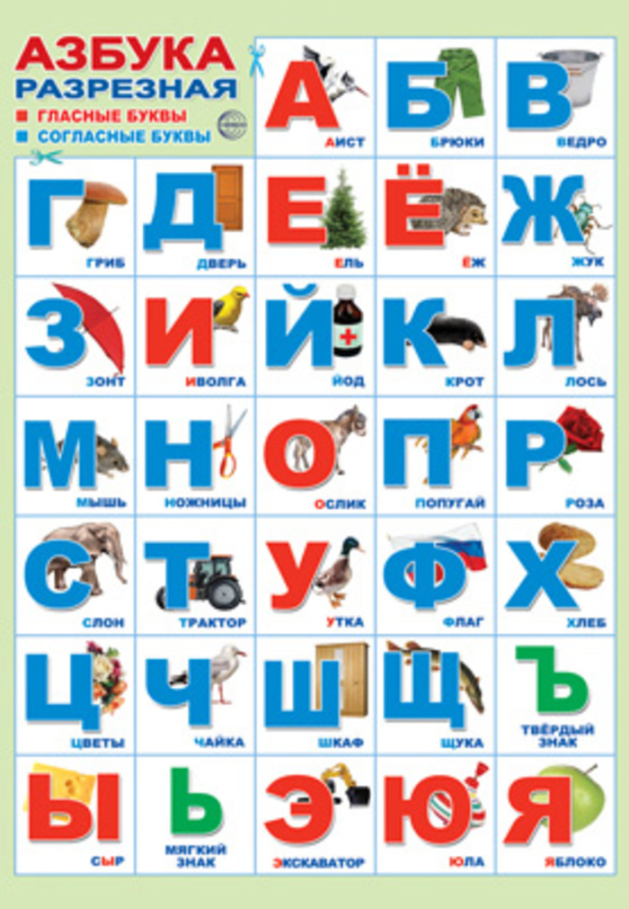 

Плакат А3 Азбука разрезная с картинками