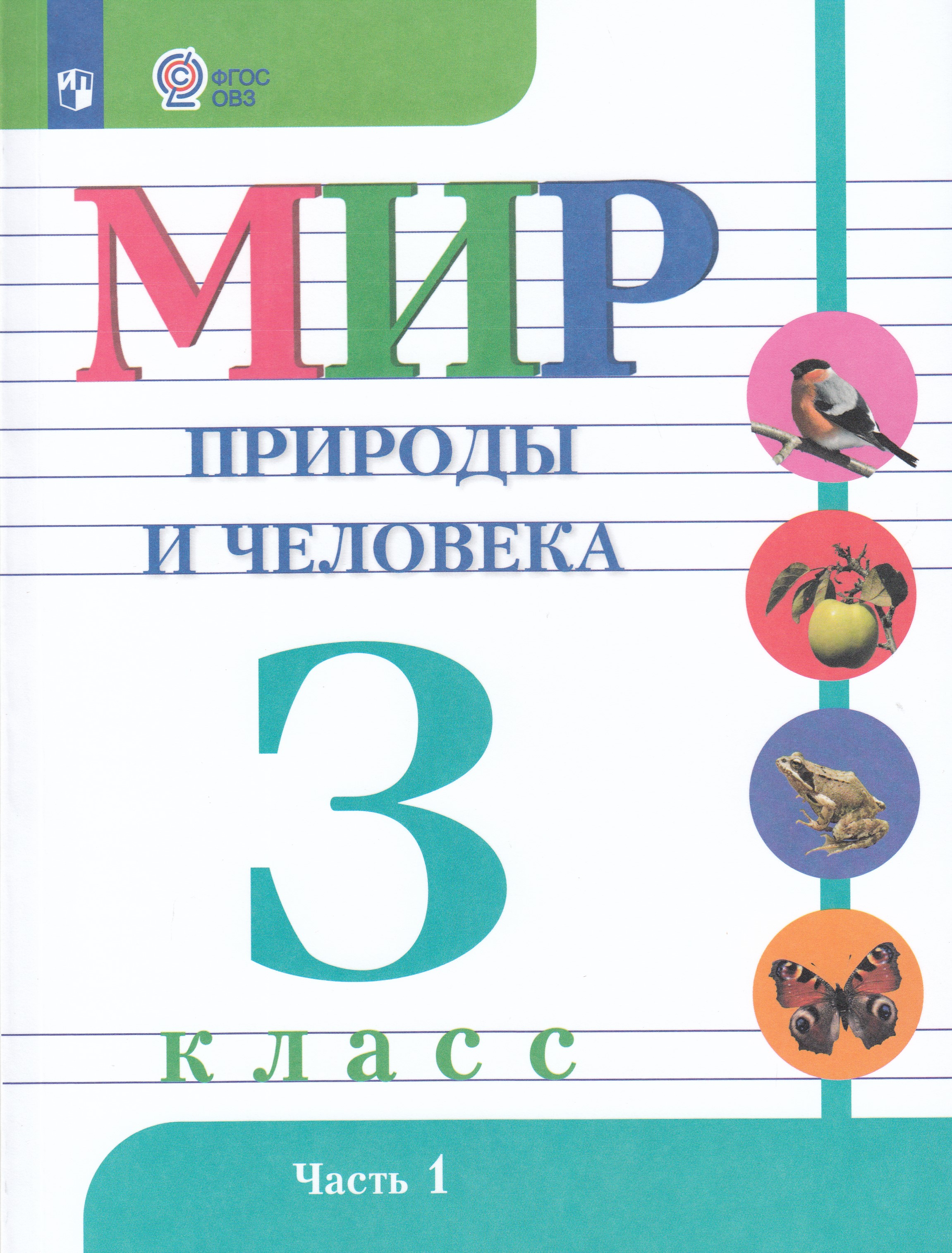 

Мир природы и человека. 3 класс. Учебник для общеобразовательных организаций, реализующих адаптированные основные общеобразовательные программы. Часть 1