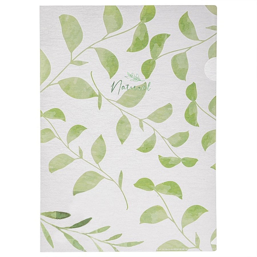 

Папка-уголок пластик А4 1отд. пл.180мкм Natural leaves HATBER AG4_33480