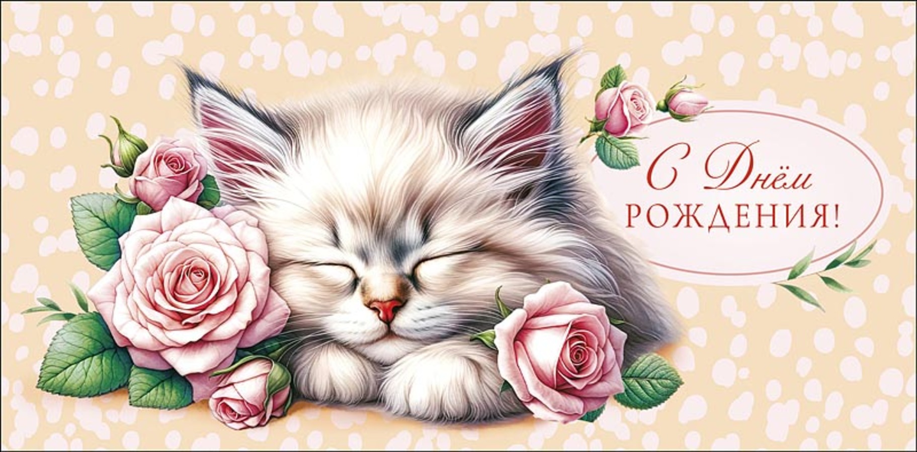 

0320.566 Конверт для денег Евро С Днем Рождения! (жен) С текстом Вырубка