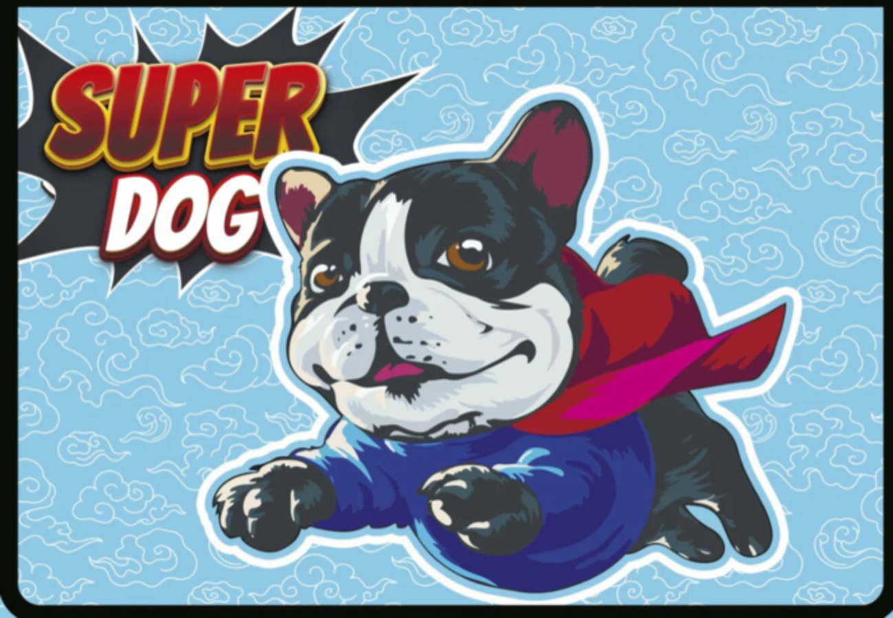 

Папка для тетрадей пластик молния сверху А4 1отд. Супер бульдог ПЧЕЛКА ПМ-А4-291 (уни)