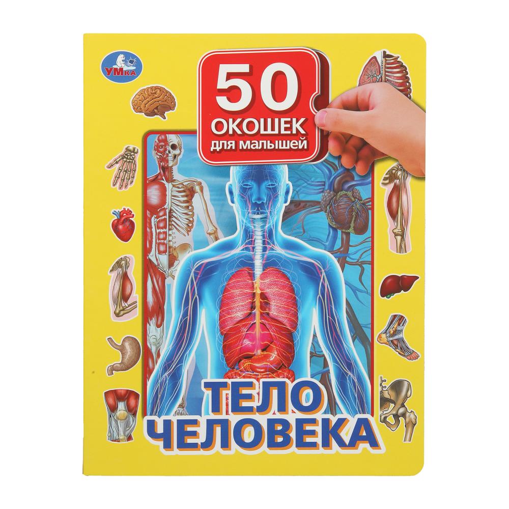 

50 окошек для малышей. Тело человека