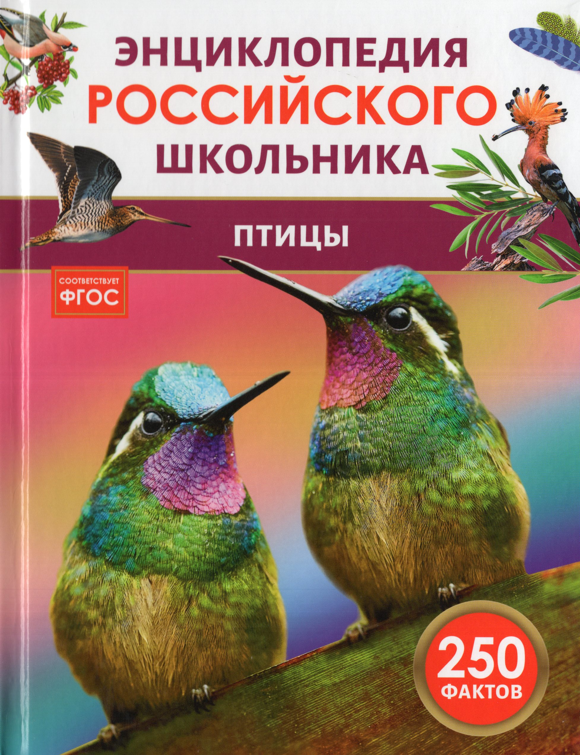 

Птицы