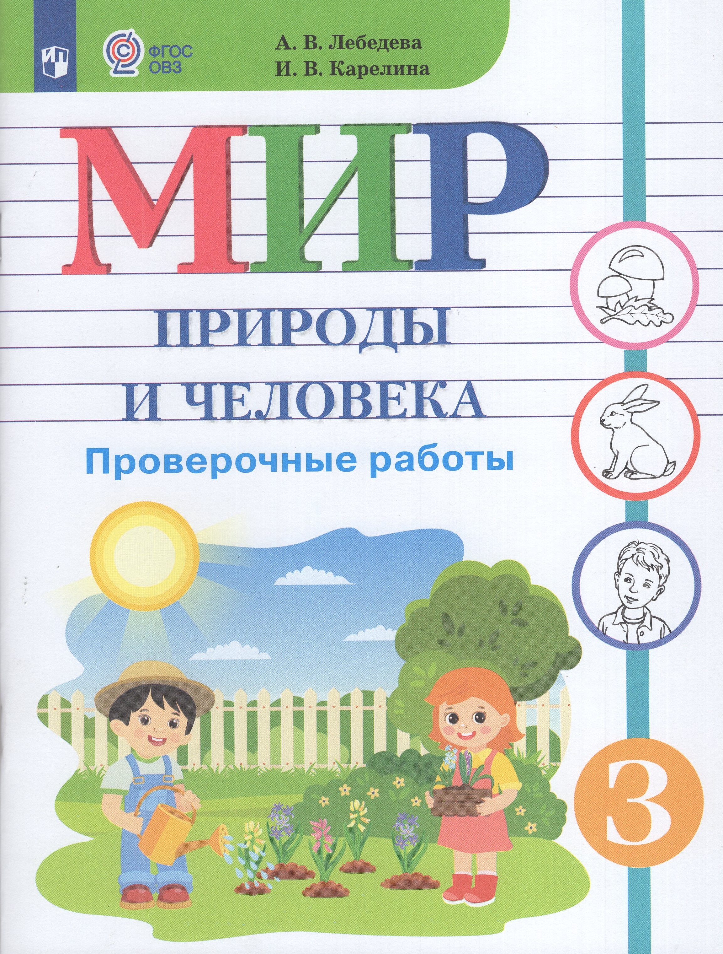 

Мир природы и человека. 3 класс. Проверочные работы. Учебное пособие для общеобразовательных организаций, реализующих адаптированные основные общеобразовательные программы