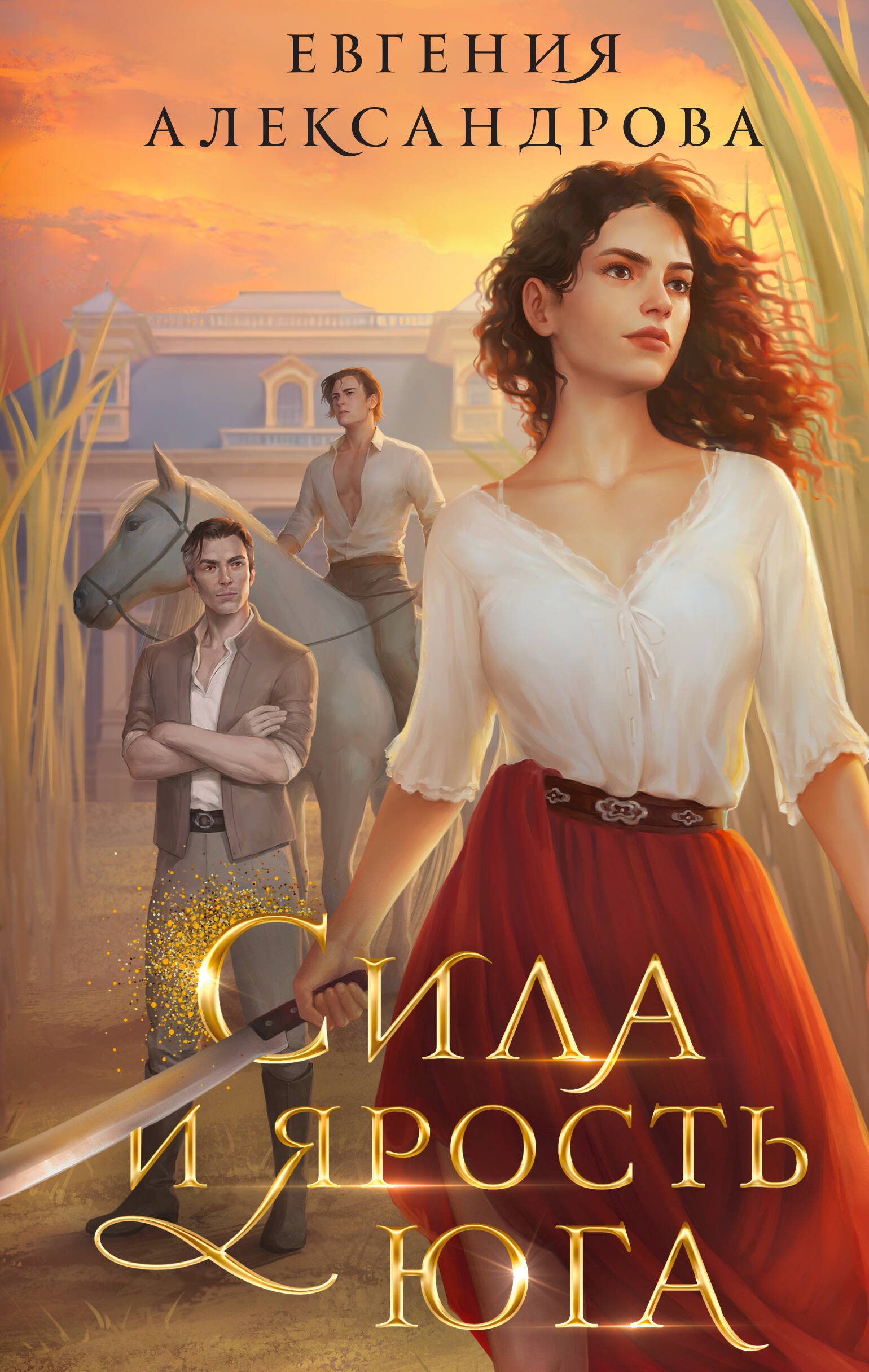 

Цепь и щит. Книга 4. Сила и ярость Юга