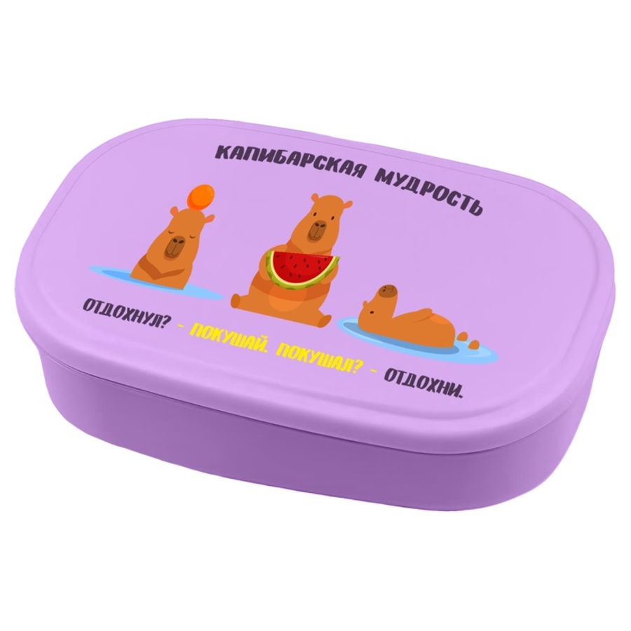 

Ланчбокс прямоугольный 95мл Капибарская мудрость deVENTE 8090512