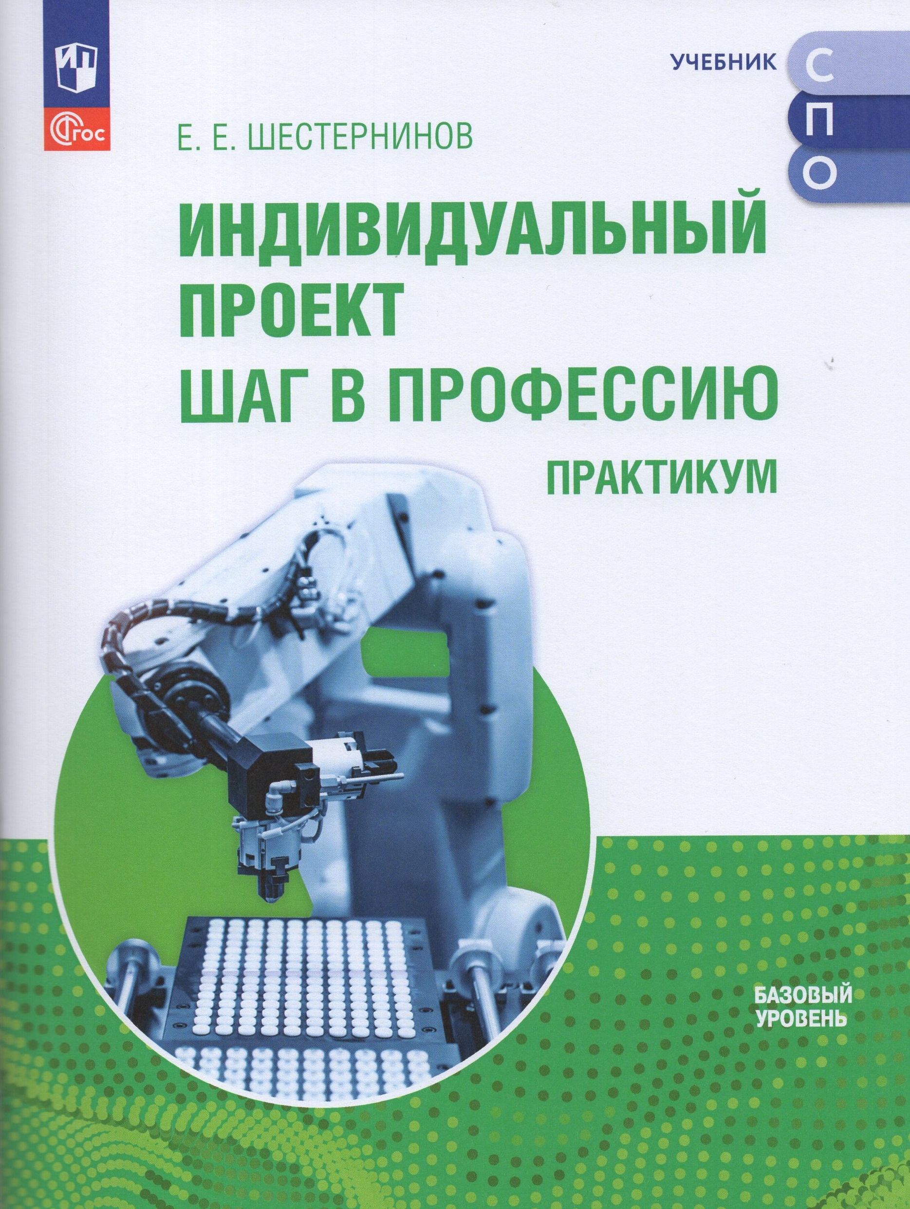 

Индивидуальный проект. Шаг в профессию. Практикум