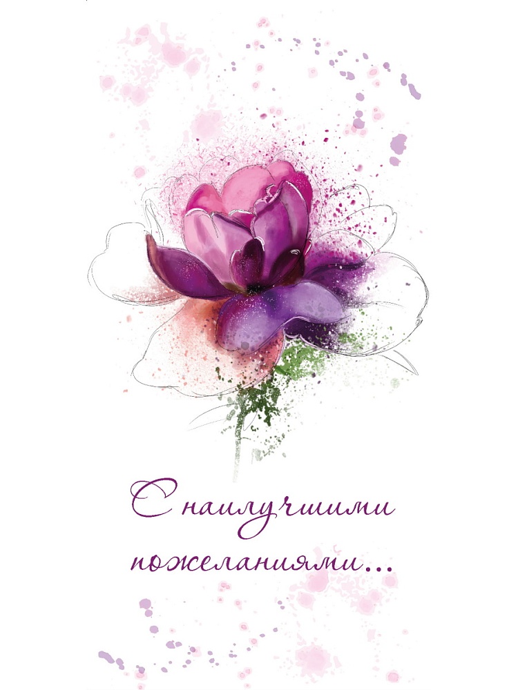 

1-05-0320 Конверт для денег Евро С наилучшими пожеланиями...фиолетовый цветок (жен) Без текста