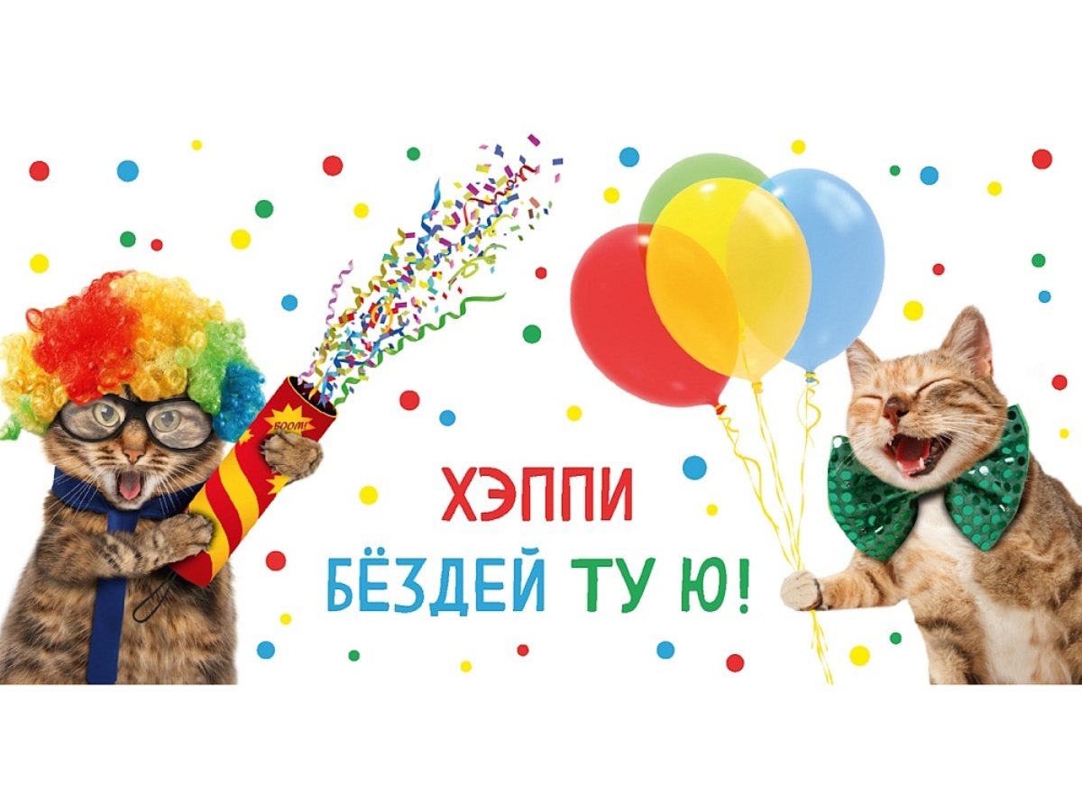 

1-05-0313 Конверт для денег Евро Хэппи бездей ту ю! поздравление от котов (уни)