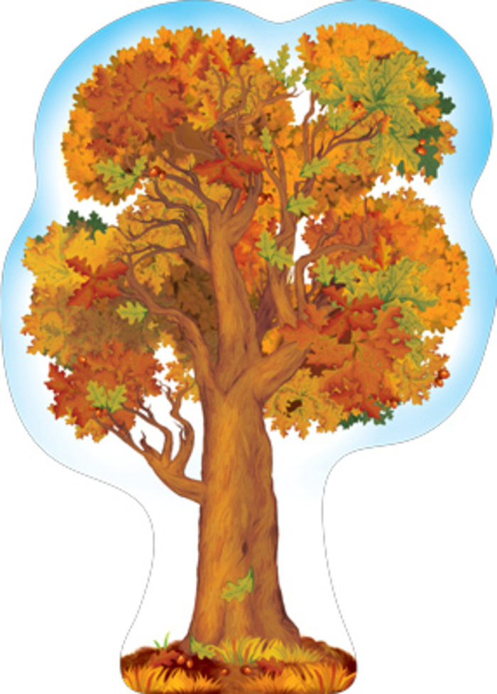 

Ф-15150 Плакат А3 Дуб осенний Вырубка