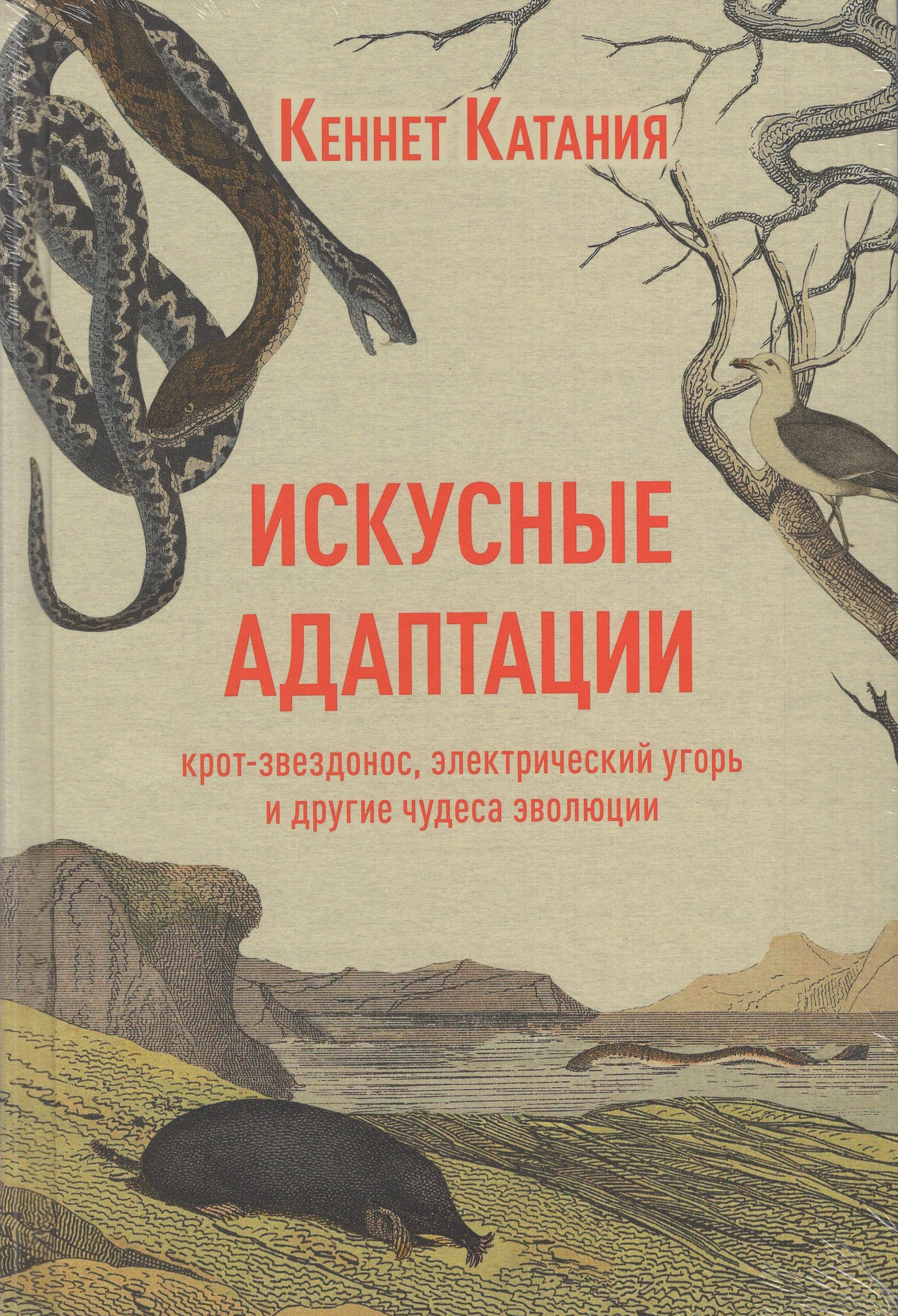 

Искусные адаптации. Крот-звездонос, электрический угорь и другие чудеса эволюции