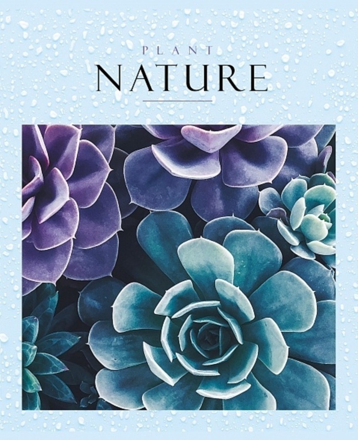 

Тетрадь А5 48л клетка скрепка обл.мелов.бум. Nature 2 блок 5 диз. HATBER 48Т5D1