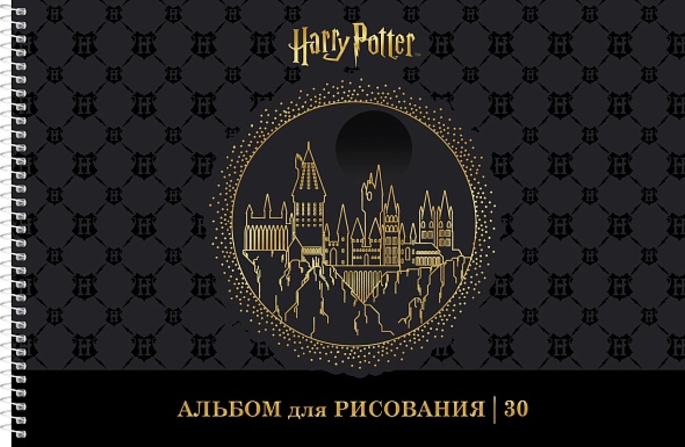 

Альбом для рисования А4 30л спираль Гарри Поттер 3D фольга ассорти 100г/м2 HATBER 30А4лофВсп (уни)