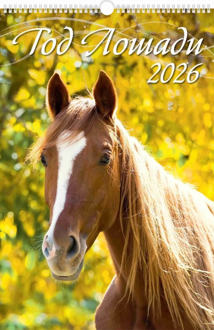 

Календарь 2026 1-блочный 320х480мм Гребень+ригель 6л Год лошади Вид 1 УФ-лак АТБЕРГ 0526005