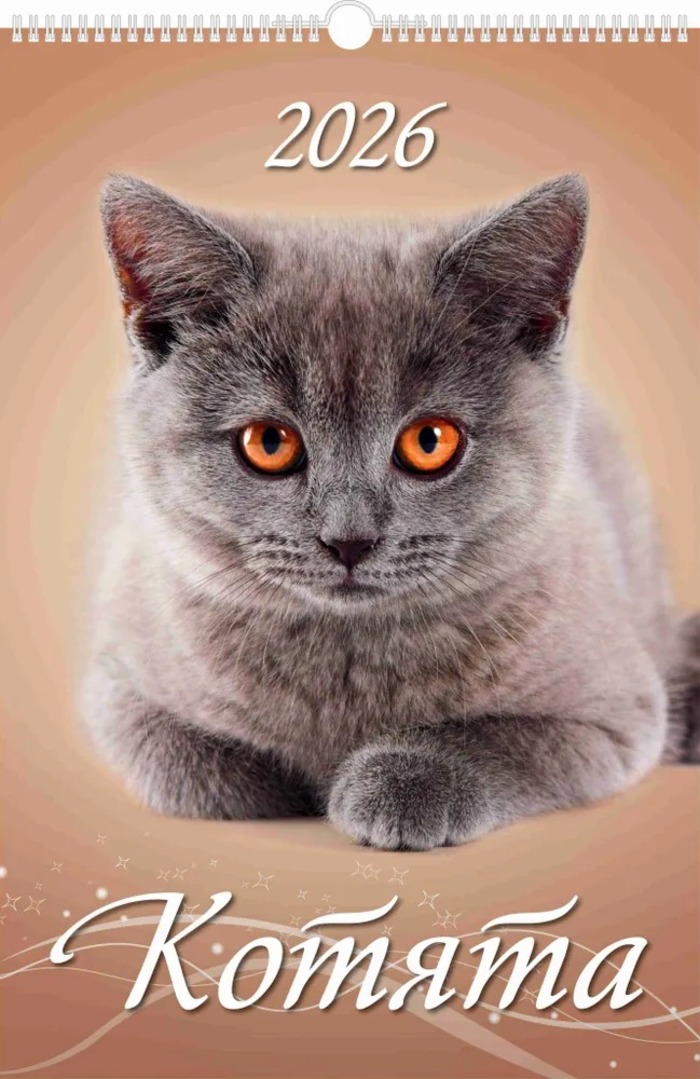 

Календарь 2026 1-блочный 320х480мм Гребень+ригель 6л Котята УФ-лак АТБЕРГ 0526019