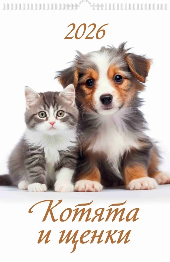 

Календарь 2026 1-блочный 320х480мм Гребень+ригель 6л Котята и щенки УФ-лак АТБЕРГ 0526018