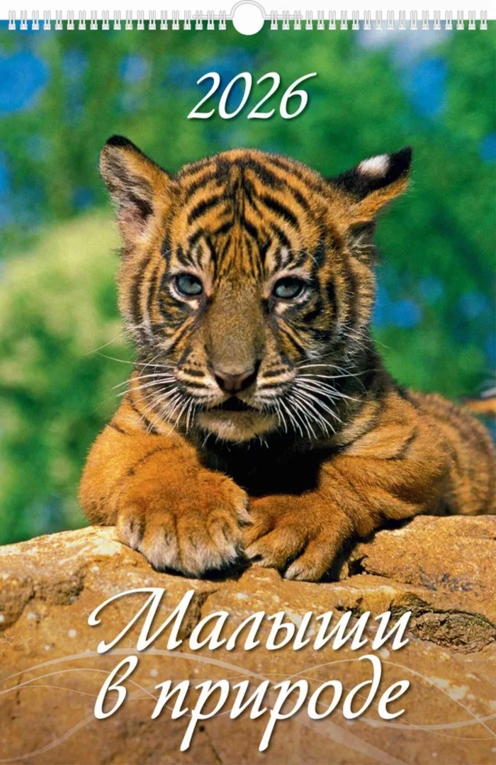 

Календарь 2026 1-блочный 320х480мм Гребень+ригель 6л Малыши в природе УФ-лак АТБЕРГ 0526053